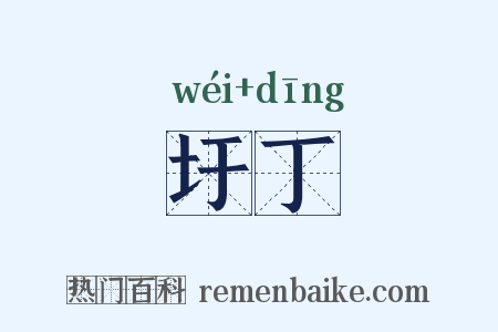 圩丁是什么意思的图片